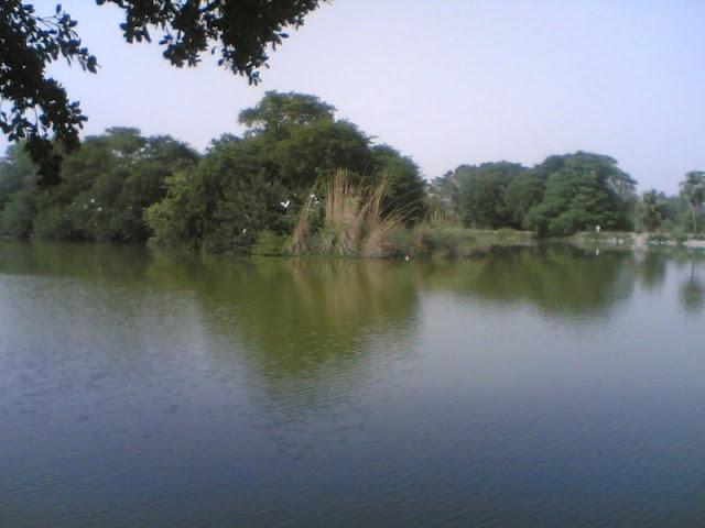 Rohtak